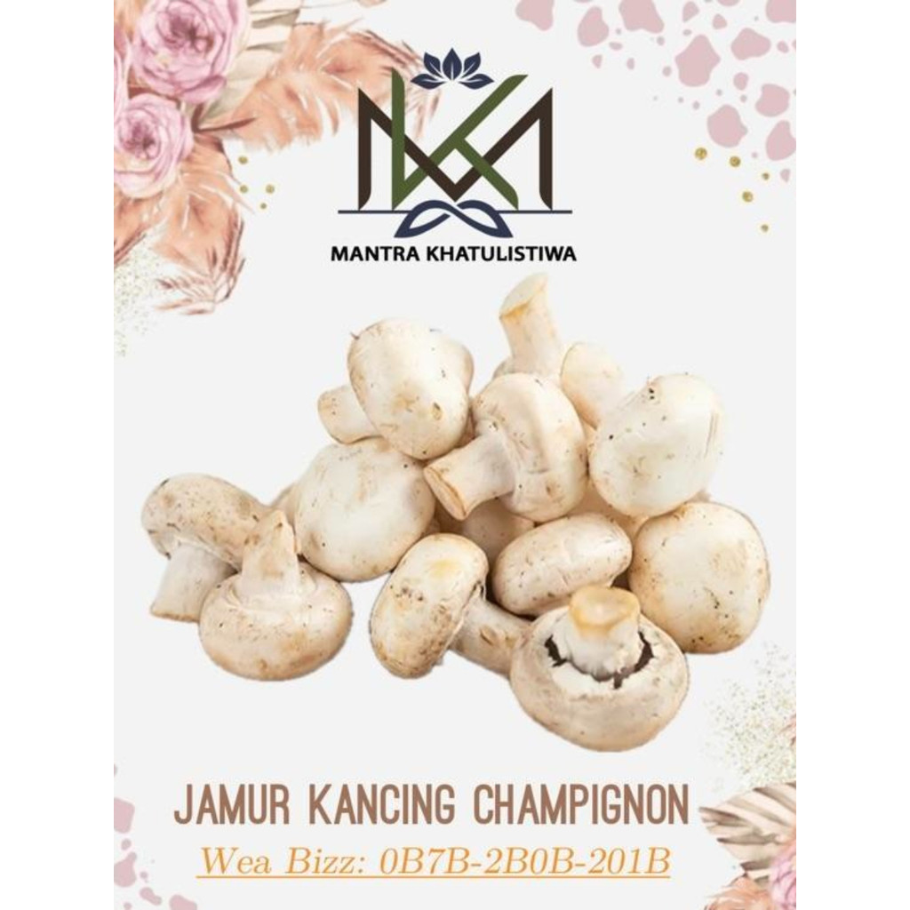 JAMUR KANCING PUTIH SEGAR JAMUR CHAMPIGNON