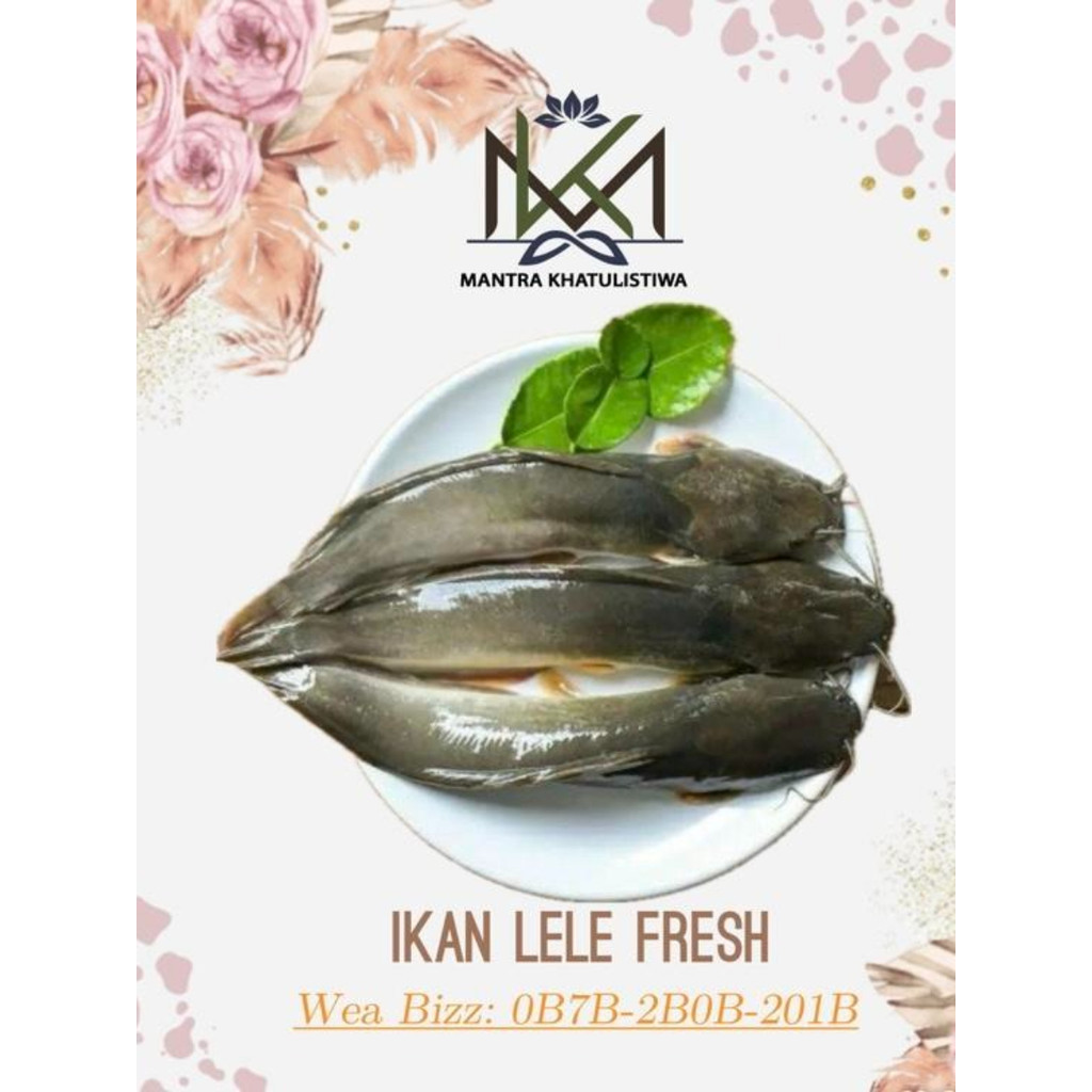 IKAN LELE FRESH IKAN SEGAR IKAN LELE SEGAR IKAN LELE HIDUP Fish