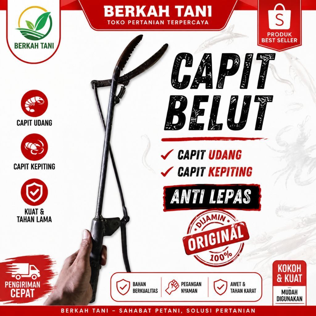 Alat Capit Belut