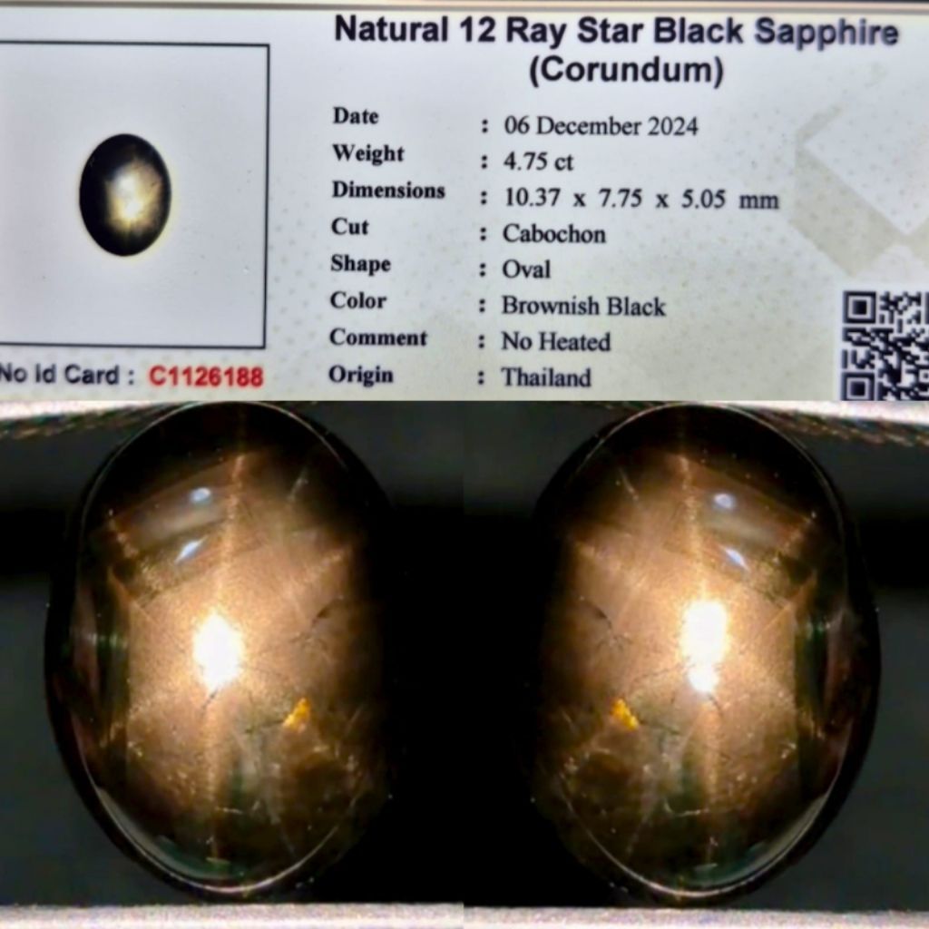 NATURAL 12 RAY STAR  BLACK SAPPHIRE (FREE MEMO) D304