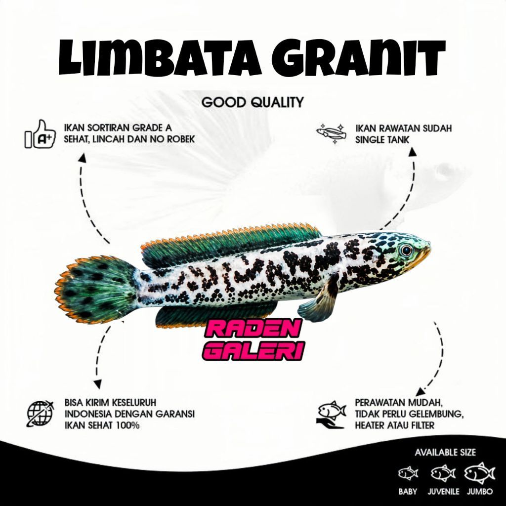 Parfum Laundry aroma Limbata Granit kualitas VIP BACA DESKRIPSI | Limbata Granite