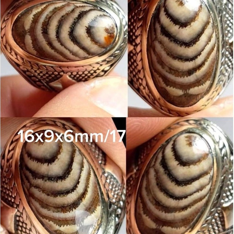 natural jhipen blarac motif kepompong batu asal madura