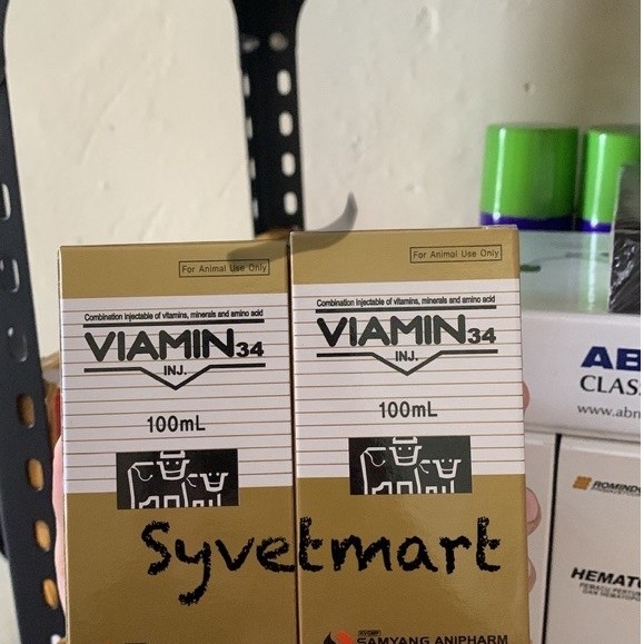 Viamin 34 Injeksi Untuk Elektrolit Dan Kelelahan