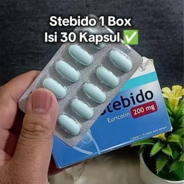 STebido