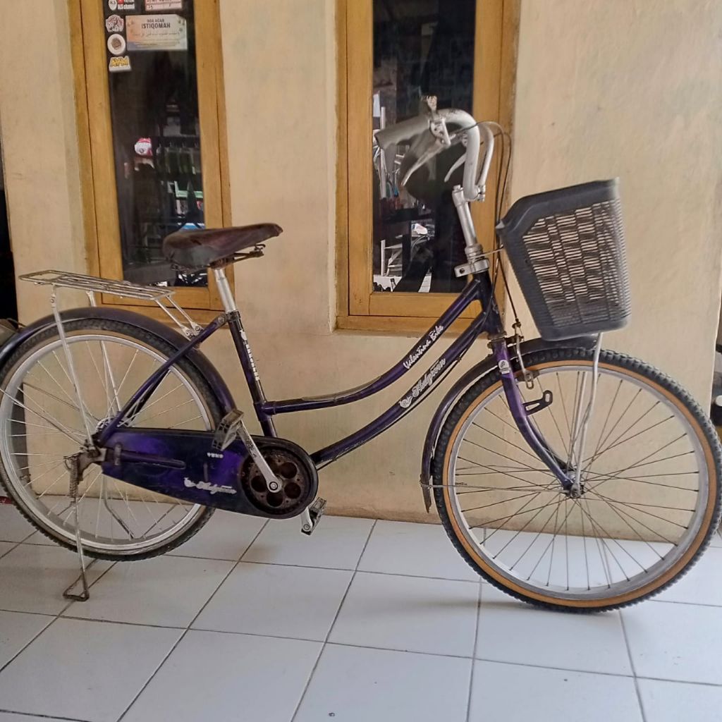 Sepeda Ukuran 24 - Sepeda 24- Sepeda mini - Sepeda sayur 24 - Sepeda Mini 24 - Sepeda Dewasa 24 - Se
