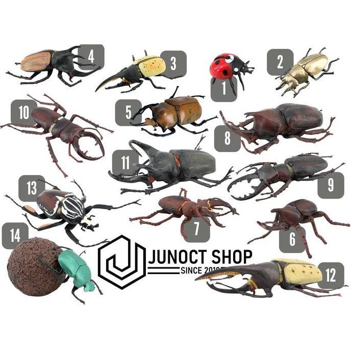 Miniatur Kumbang | Beetle Stag Rhinoceros Hercules Atlas Goliath Ladybug - Figurine Maket Pajangan E