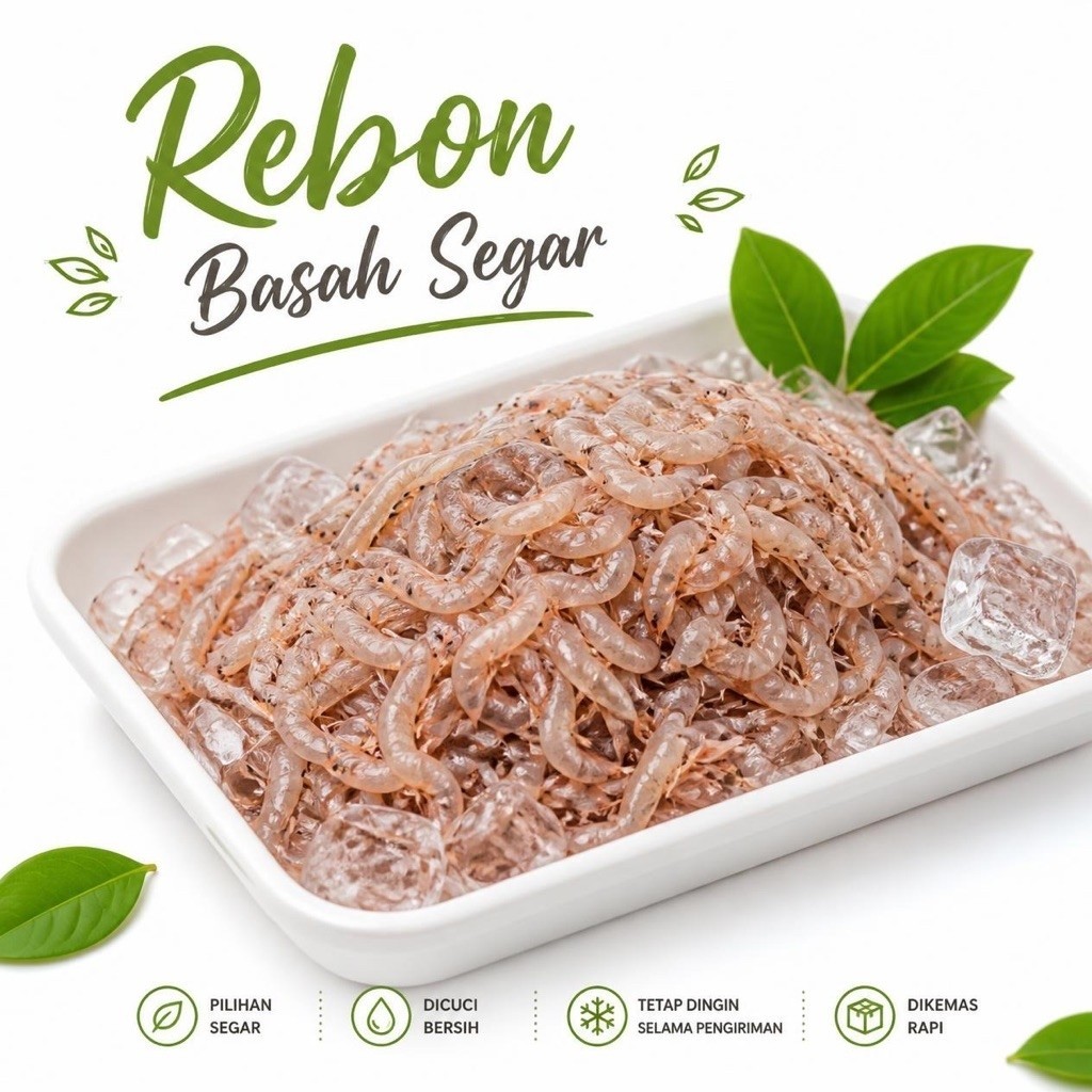 Udang Rebon Basah Fresh