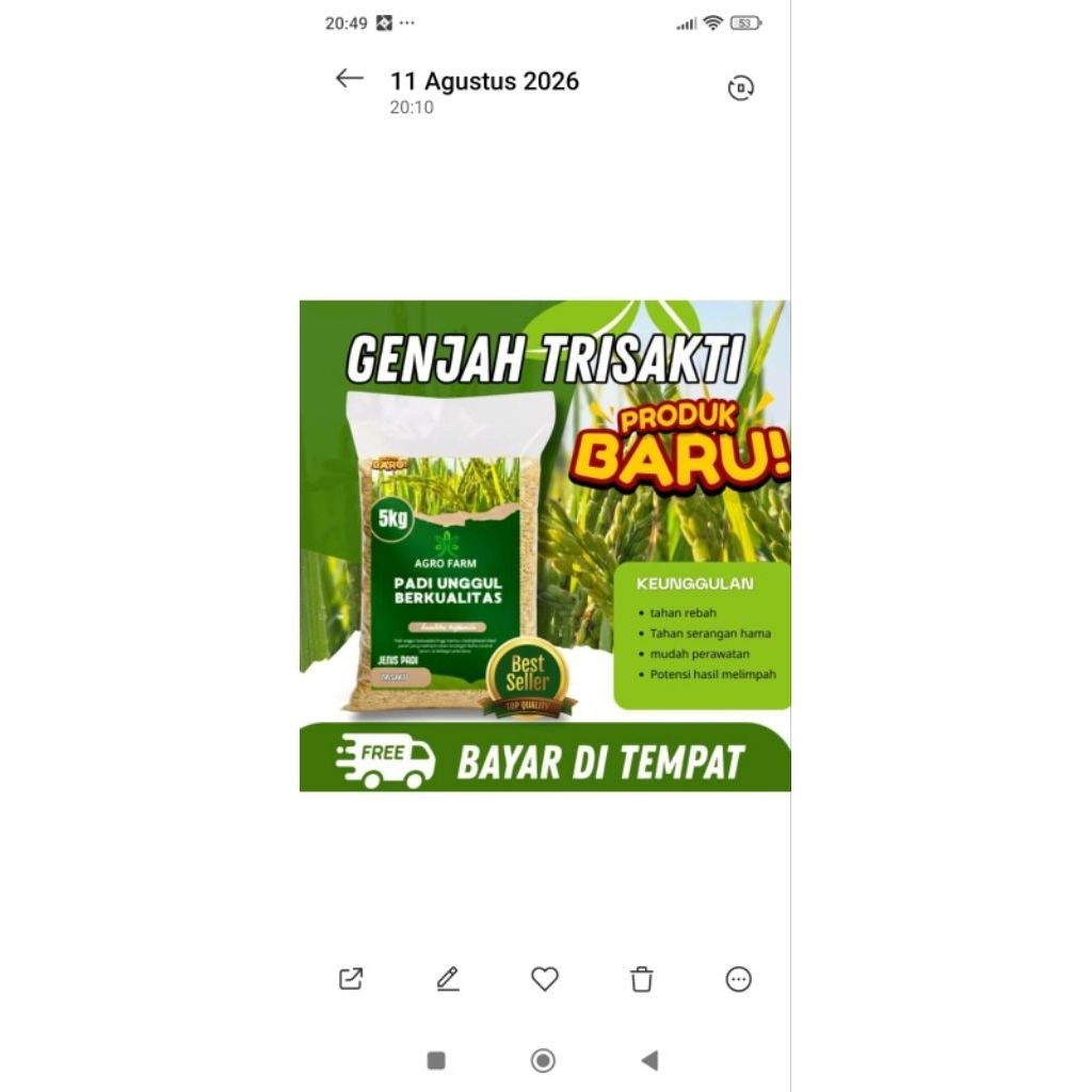 Benih Padi AGRO FARM Genjah Trisakti 5kg Jenis Padi