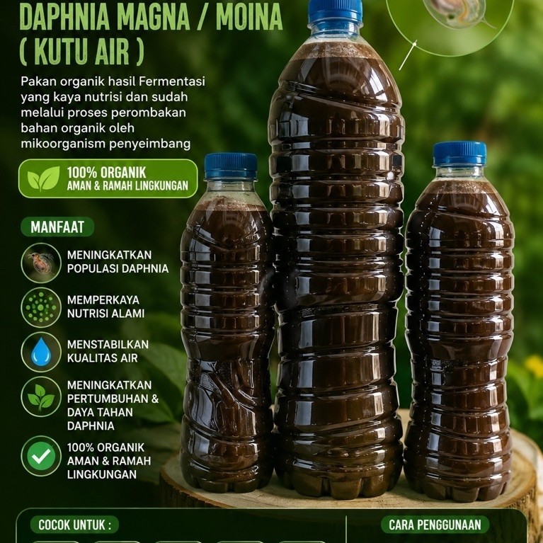 Booster pakan Daphnia magna & Moina