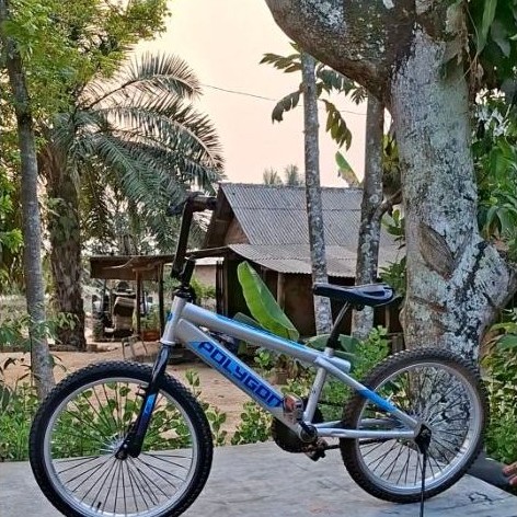 Sepeda BMX 20 Bekas Warna Silver Siap Pakai Kondisi Bagus Sesuai Foto