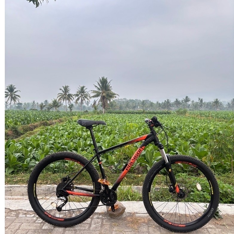 POLYGON PREMIER 5 TAHUN 2019