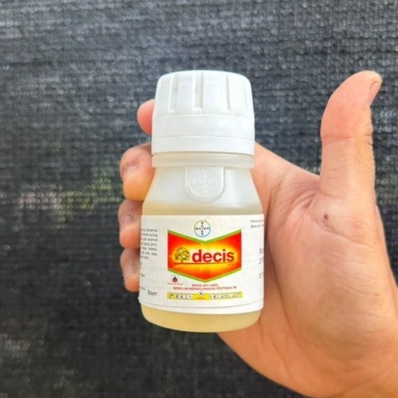 Insektisida Anggrek Decis