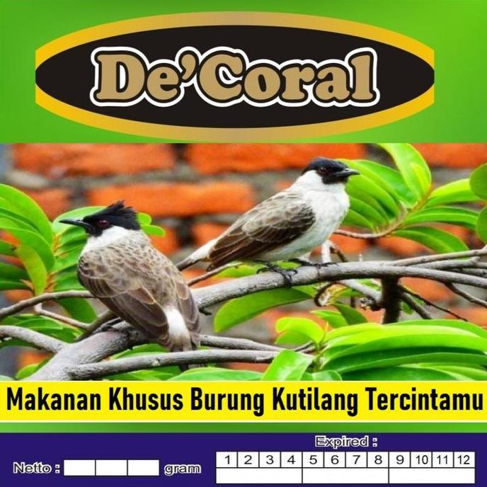 MAKANAN KHUSUS BURUNG KUTILANG|MAKANAN KUTILANG|PAKAN BURUNG KUTILANG