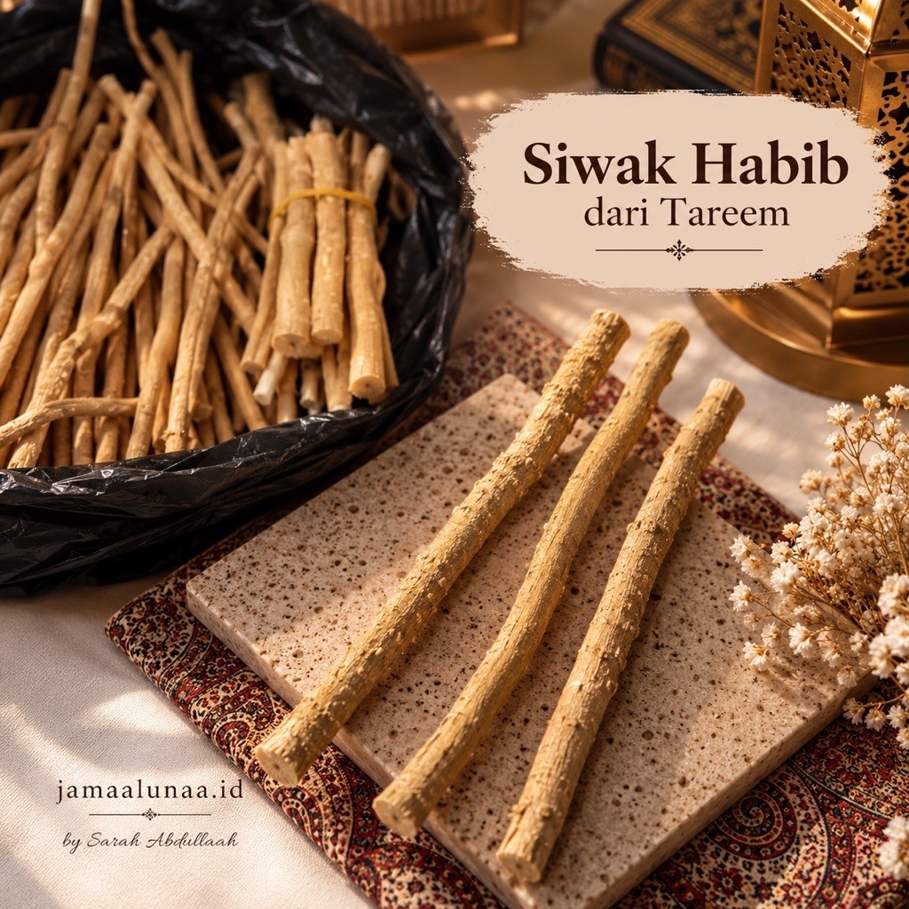 Siwak Habib siwak hibabah asi tarimTarim Miswak Tarim Sunnah Nabi SAW Siwak Tarim Asli Originall