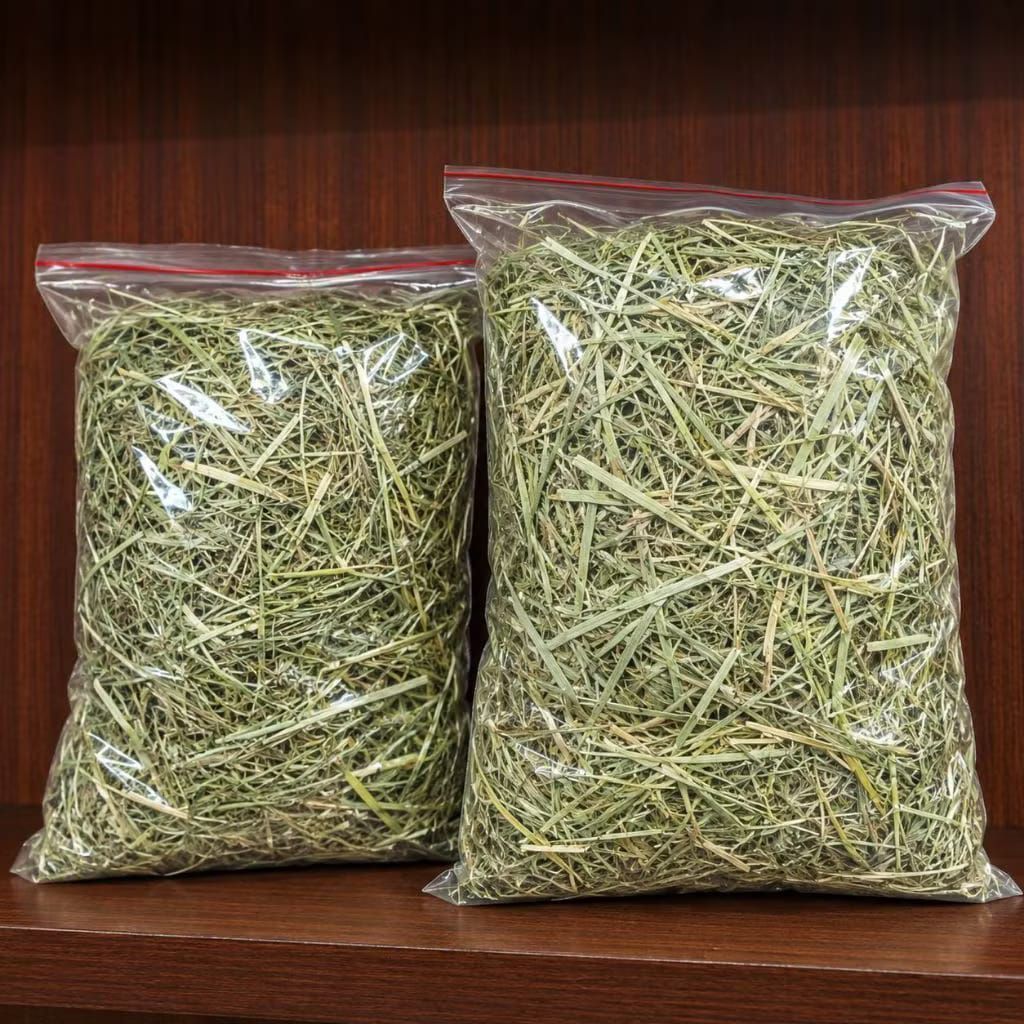 Hay kangkung pakan kelinci