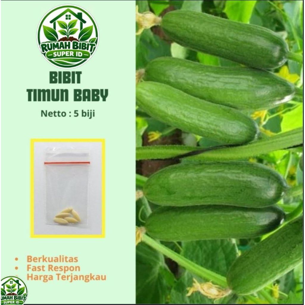 Biji Benih Timun Baby Mentimun Semi F1 / Benih Timun Semi F1