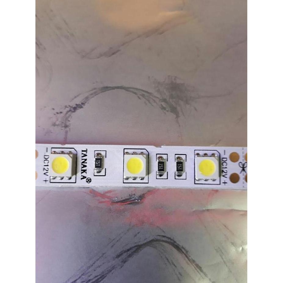 Led Strip SMD IP 33-5050 ( putih ) 5m/roll