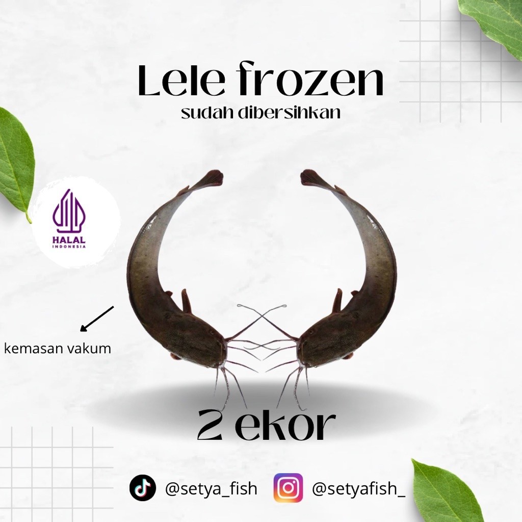Lele frozen