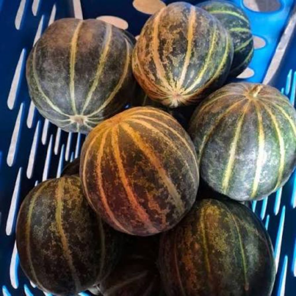 buah blewah blewah matang manis