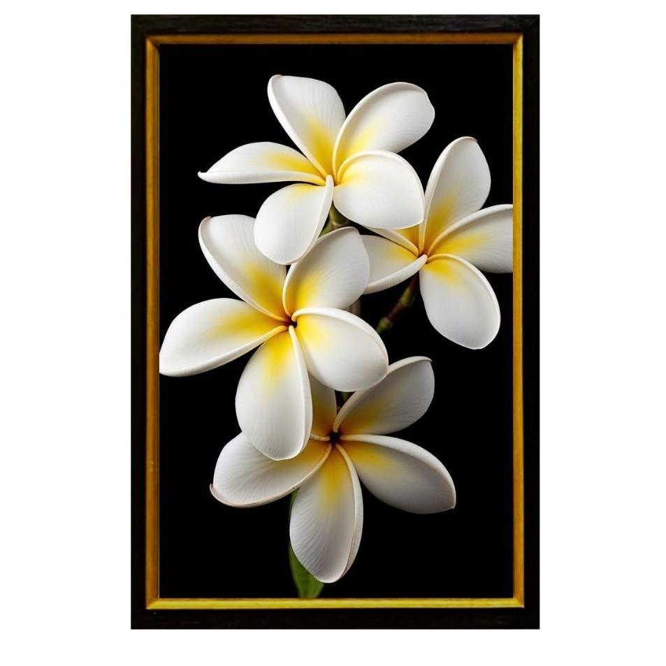 HIASAN DINDING BUNGA KAMBOJA GAMBAR CETAK+BINGKAI UK 45X65CM