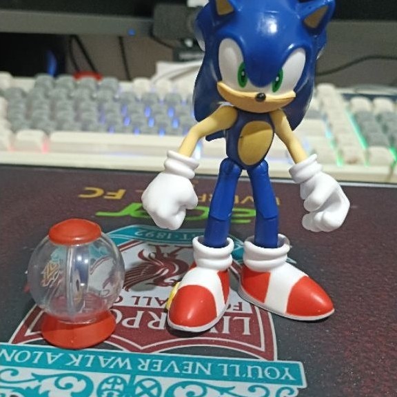 [Jakks] Sonic Figure