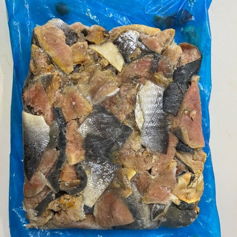 tetelan salmon