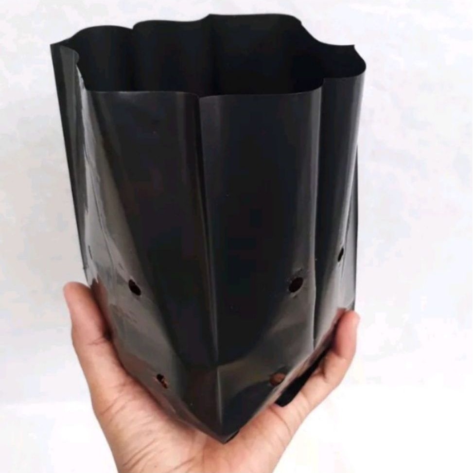 polybag uk 15x15 5 pic 5 lembar murah
