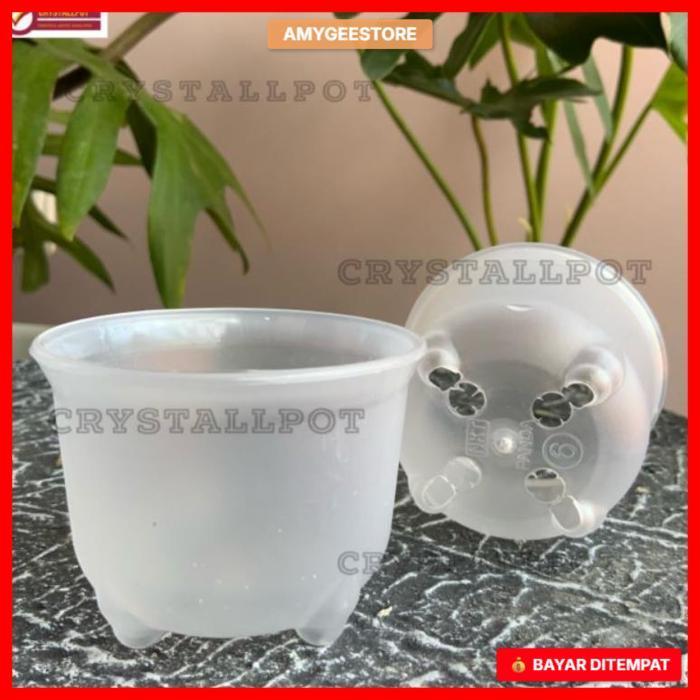 POT BUNGA TANAMAN NKT MINI PANDA 06 BENING TRANSPARAN - NKT PANDA 06 BENING