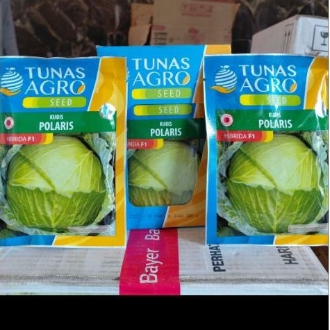 Benih Kol Kubis Polaris TUNAS AGRO Benih Kubis 100g