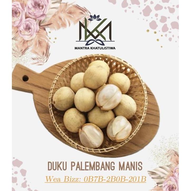 DISKON! BUAH DUKU MANIS LEGIT DUKU PALEMBANG MANIS FRESH