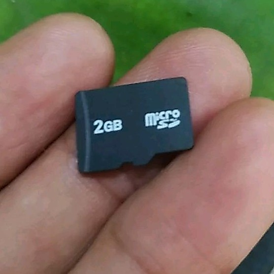 Kartu Memori Micro SD Card 2 GB