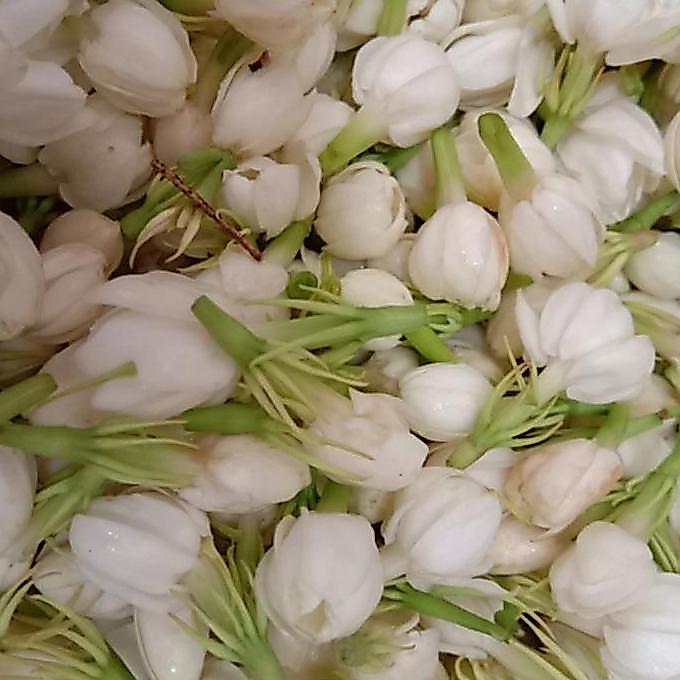Flower- Kembang 7 Rupa / Bunga 7 Rupa Segar