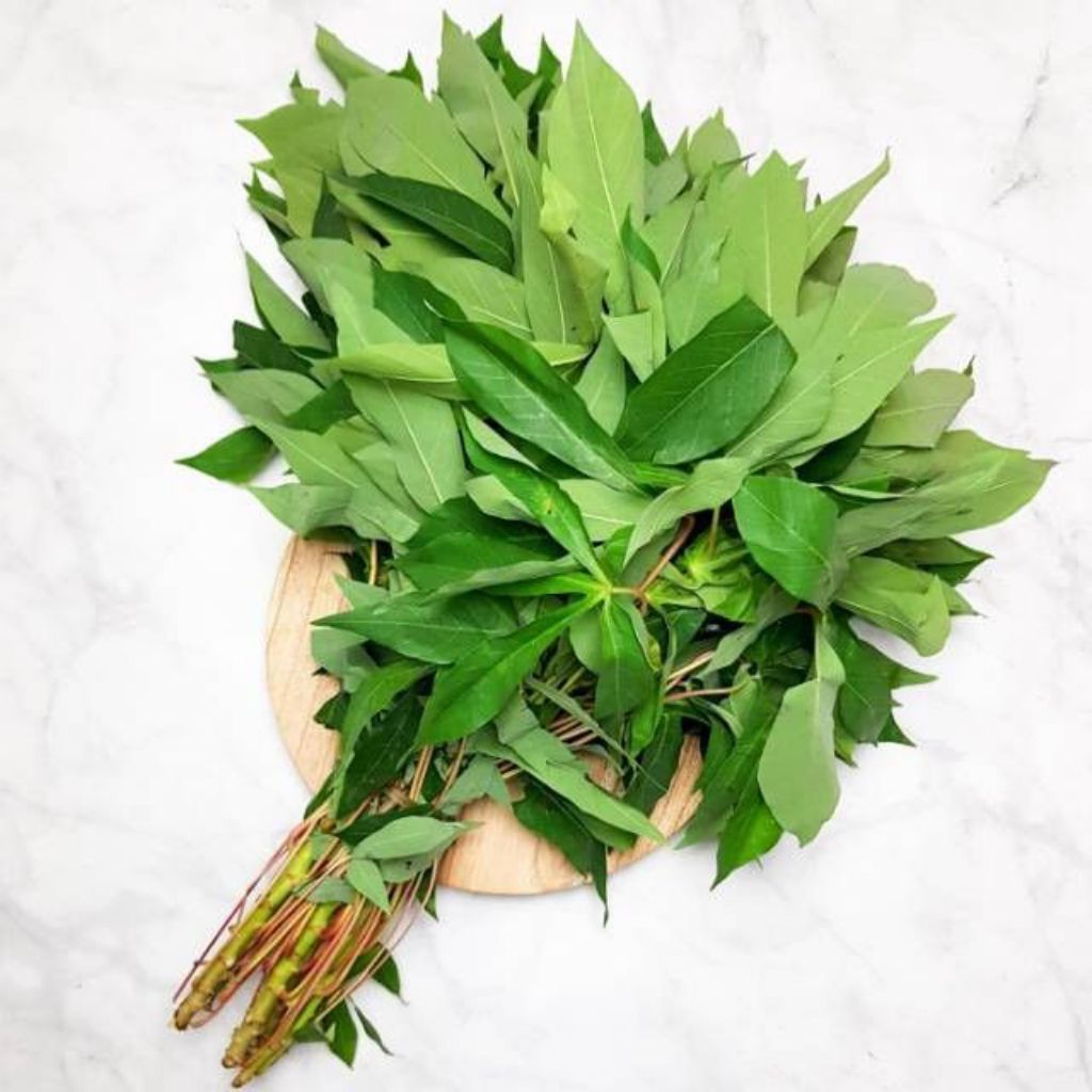 Daun Singkong Segar