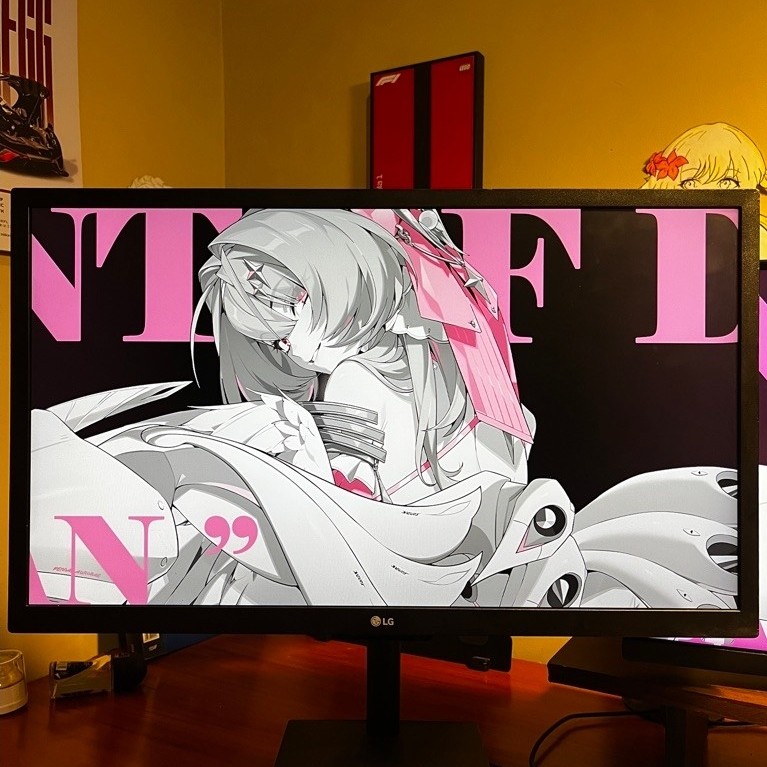 Monitor LG 24MK400H 75hz 1080p Panel IPS 24 inch Second