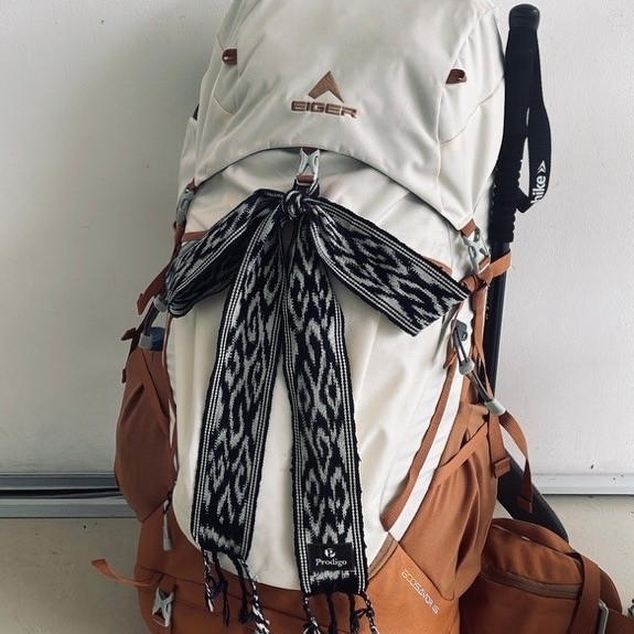 PRELOVE CARIER EIGER ECOSAVIOR 45L
