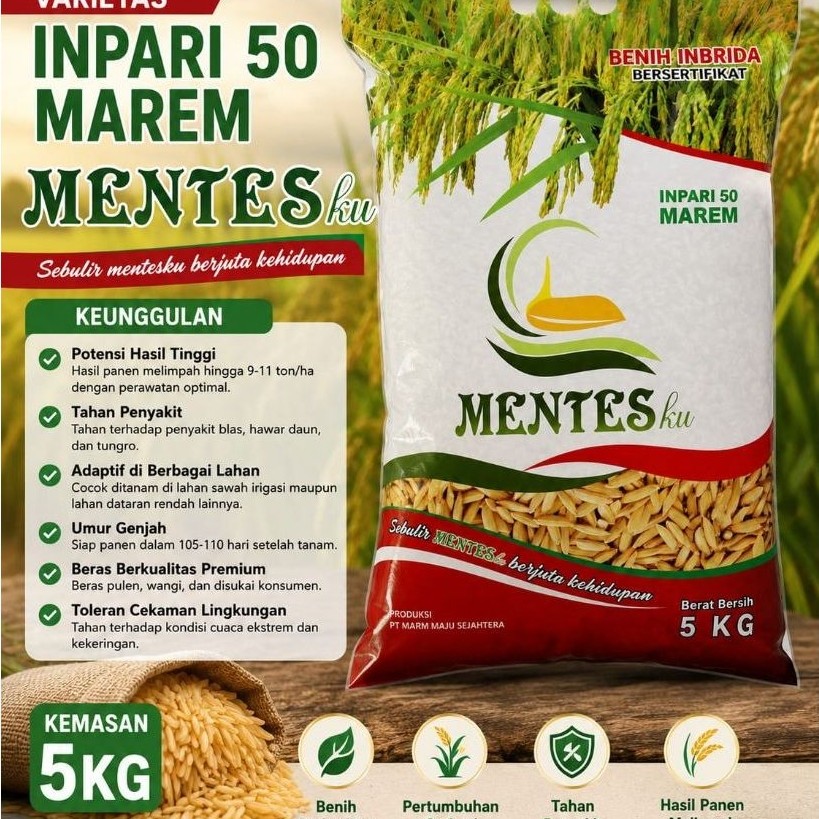 Benih padi Inpari 50