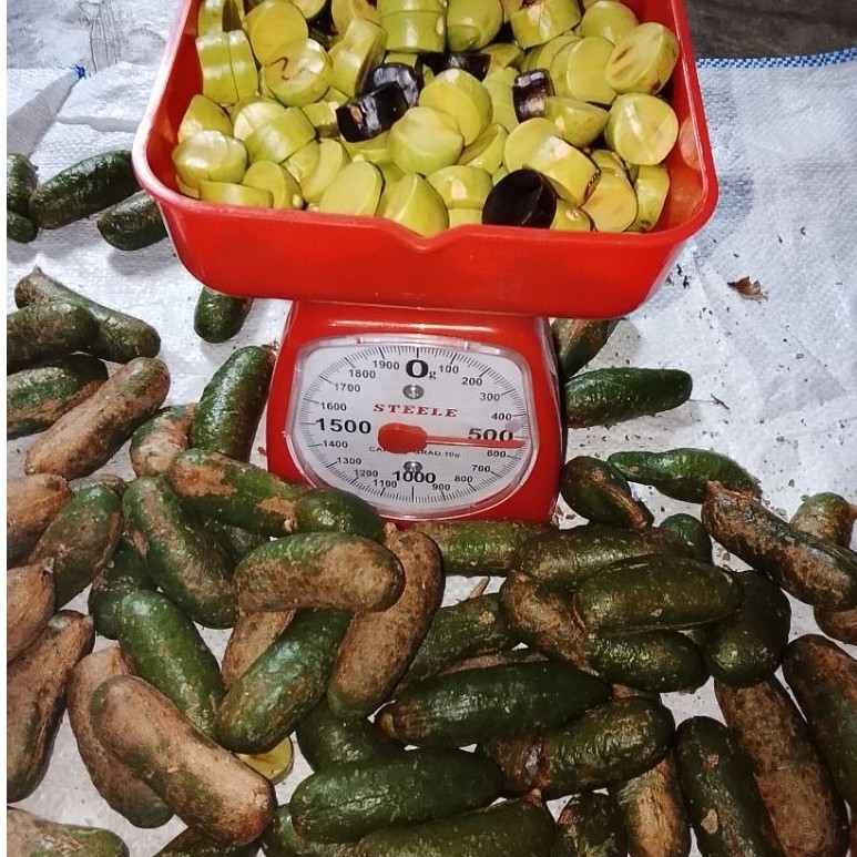 5 kg kabau/jolang jaling