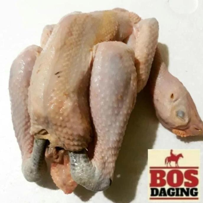Food- Daging Ayam Kampung Utuh Dijamin Fresh Segar
