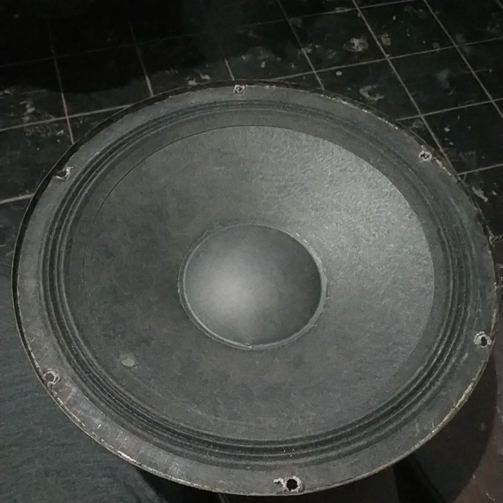 Speaker Acr 1230 pa