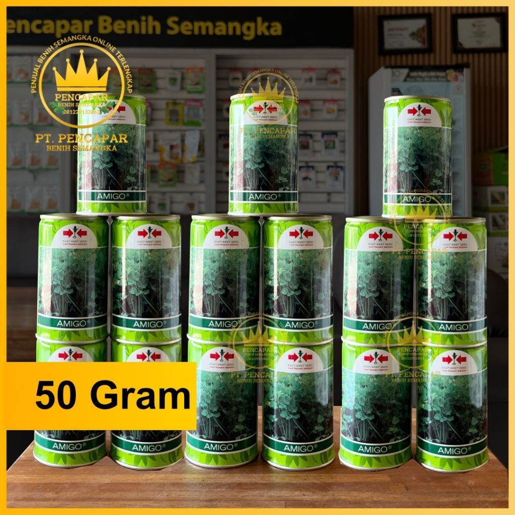 Benih seledri - Amigo 50 gram
