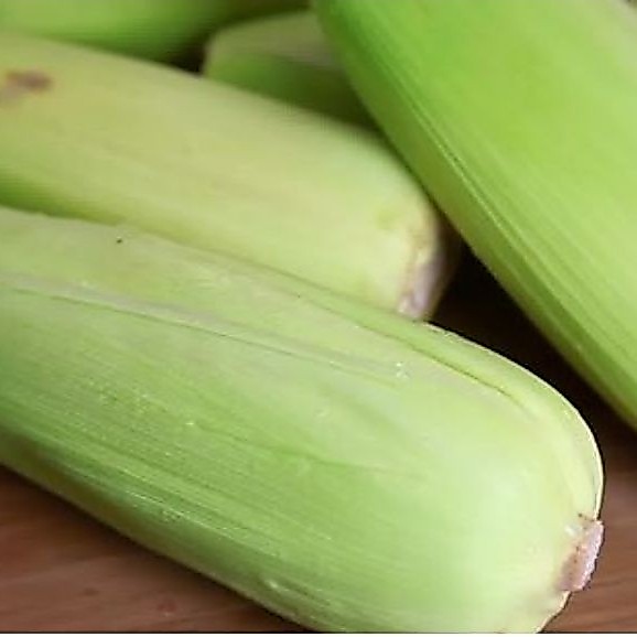 jagung manis 1kg