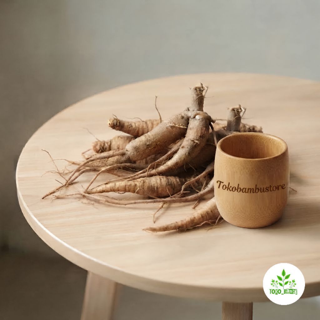 Ginseng jawa segar super umbi ginseng jawa fresh-az
