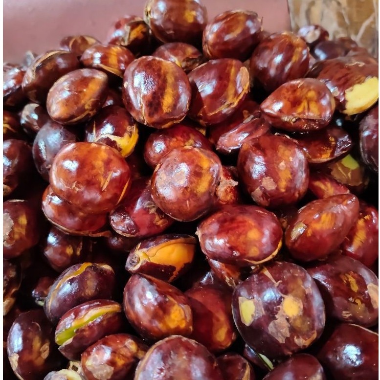 Jengkol 1 kg