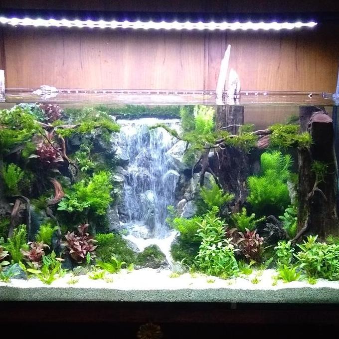 PREMIUM Aquarium desain Aquascape 1 meter kaca 10mm