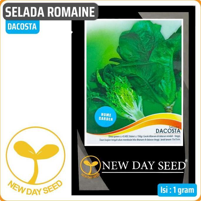 Selada Romaine DACOSTA, 1 gr | New Day Seed