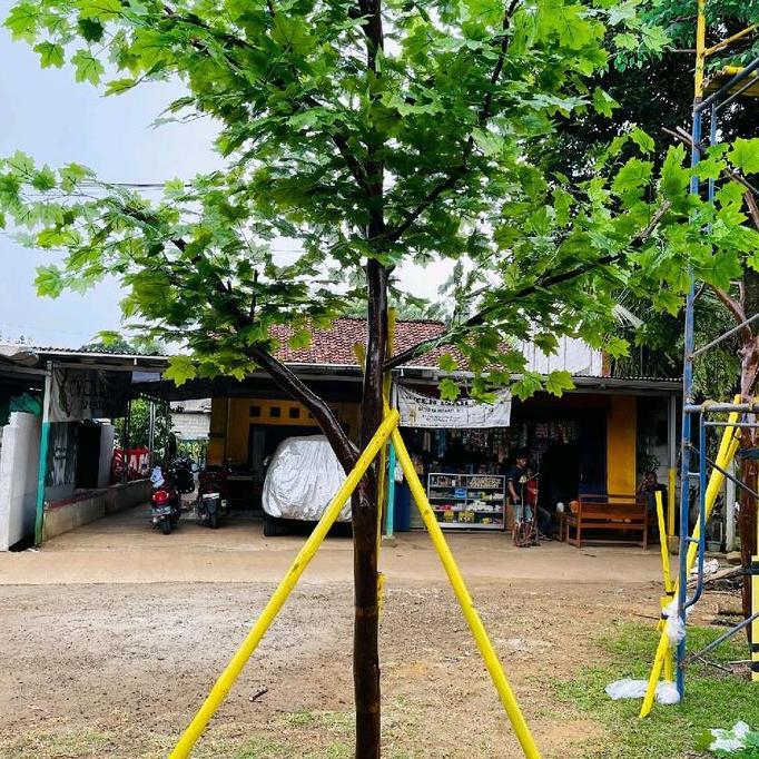 Tanaman Hias Pohon Maple Hijau Artificial Buatan Besar 4 Meter Dekorasi Pohon Maple Hijau Buatan Bes