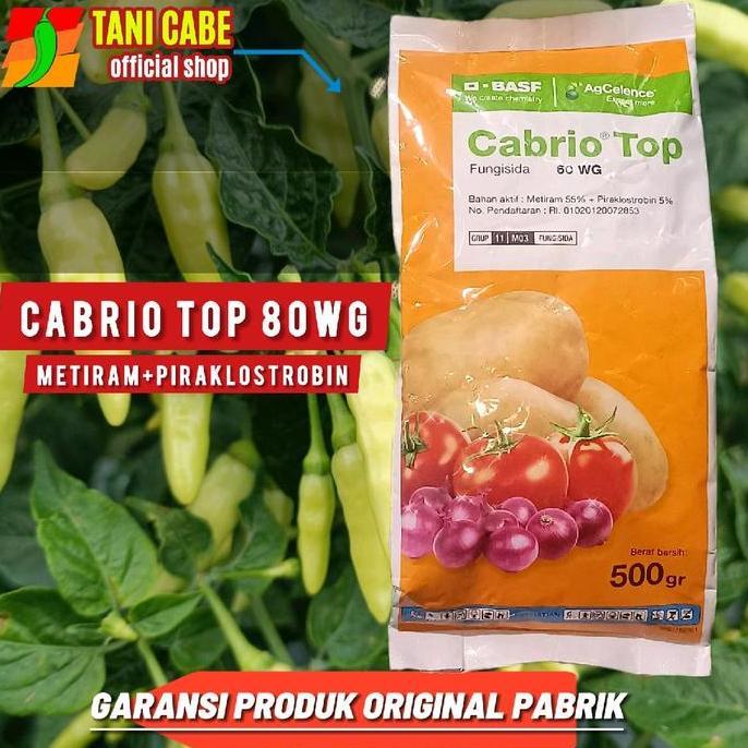 fungisida Cabrio Top 80 WG 500 Gram Fungisida Sistemik untuk Cabai Tomat & Bawang Merah