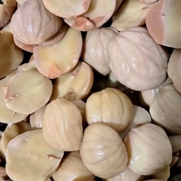 Jengkol tua rebus