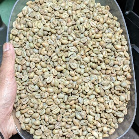 GreenBean kopi robusta G1 Temanggung