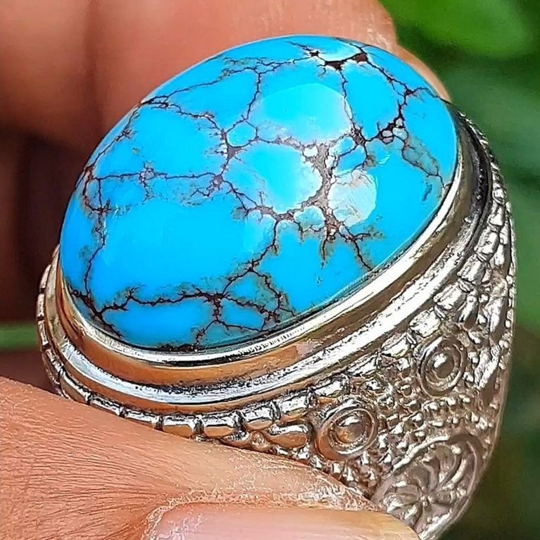 pirus mesir lawasan 65